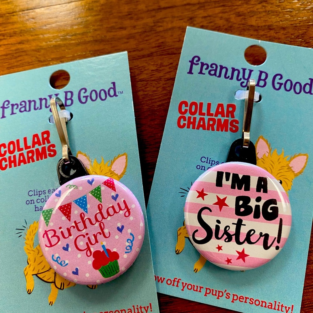 New 🌸🌸 2 dog collar charm bundle